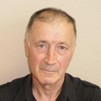 Владимир Плотников